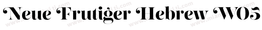 Neue Frutiger Hebrew W05 Heavy字体转换
